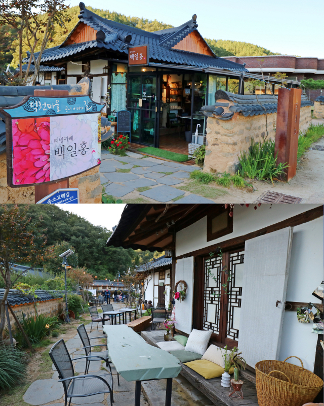 청송 리빙카페 백일홍. 경북도 제공