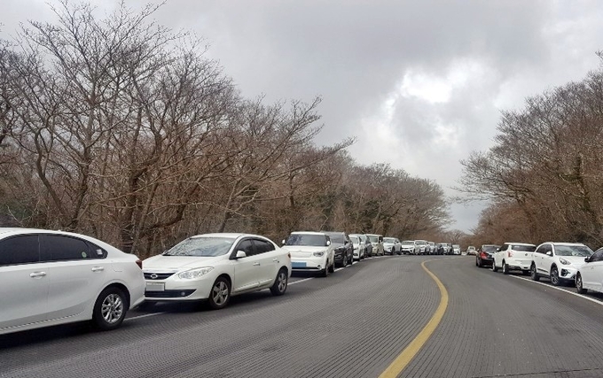 지난 18일 한라산 성판악 탐방로 주변 5·16도로 양쪽에 차량들이 길게 주차된 모습