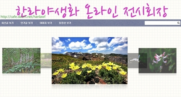 한라야생화 동호회가 포털사이트 다음의 카페 ‘한라야생화 온라인 전시장’에서 제주의 아름다운 들꽃을 담은 사진 작품들을 선보이고 있다.