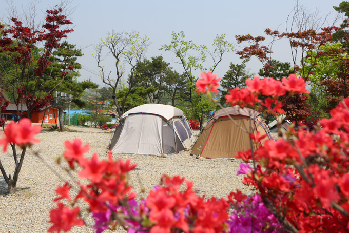 김포한강오토캠핑장 /경기관광공사 제공