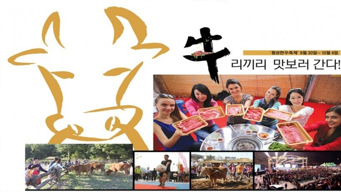 (위부터 시계방향) 횡성한우축제를 찾은 외국인들이 횡성한우를 들어보이고 있다. 2015년 횡성한우축제 개막식 모습. 소밭갈이 체험을 하고 있는 외국인 서포터스. 횡성한우축제 인기 프로그램 중 하나인 머슴 돌 들기 대회 모습. 축제장에 마련된 테마농장에서 관람객들이 소에게 먹이를 주고있다. /횡성군 제공