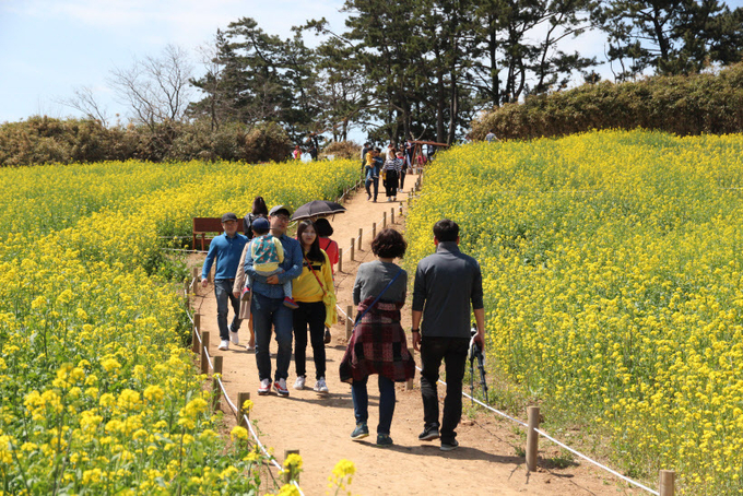 부안 마실길을 찾은 가족들이 쉬며 걸으며 여유있는 시간을 즐기고 있다. 사진/전북 부안군 제공