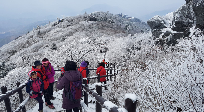 덕유산의 향적봉. 향적봉을 200여m 앞두고 300~500년생 주목들이 자라고 있어 멋진 자태를 뽐낸다. /전북일보 제공