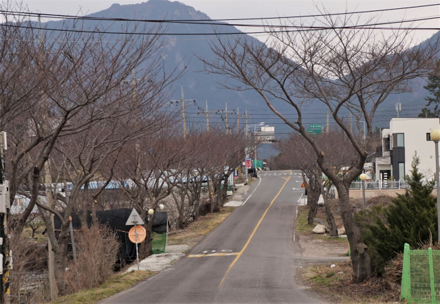삼천포마리나의 한적한 실안해안도로.