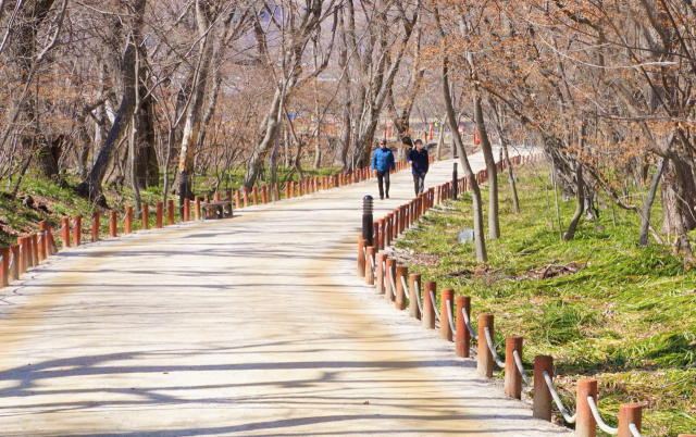 봄기운이 완연한 경남 함양 상림공원을 찾은 산책객들이 따뜻한 햇볕이 쏟아지는 숲 사이를 느긋하게 걸어가고 있다.