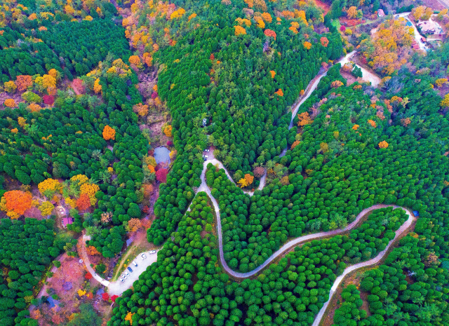 고성 갈모봉 산림욕장./경남도/