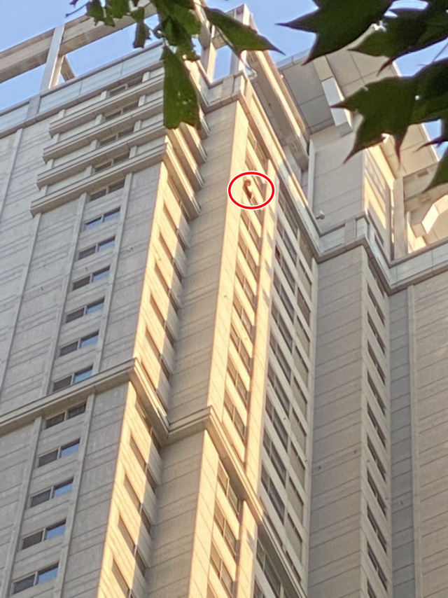 100여m 아파트서 추락 여중생, 33.75㎡ 소방 에어매트 덕에 목숨 건져<br>
추락 A양, 갈비뼈 2개 골절상…대구소방본부장 "기적이 일어난 것"
