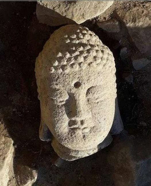 바로 앉힌 불두 모습. 문화재청 제공