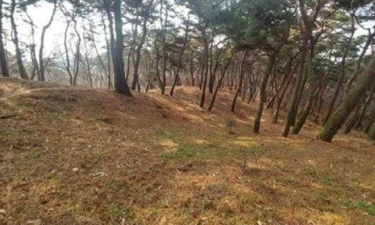 부여 나성(서나성) 추정 성벽선 예상 구간. 사진=문화재청 제공