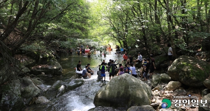 양평군내에는 외지인들에게 잘 알려지지 않은 숨은 피서 명소가 곳곳에 있다. 사진은 용문면 중원리에 있는 중원계곡에서 물놀이를 하고 있는 피서객들 모습. /양평군 제공