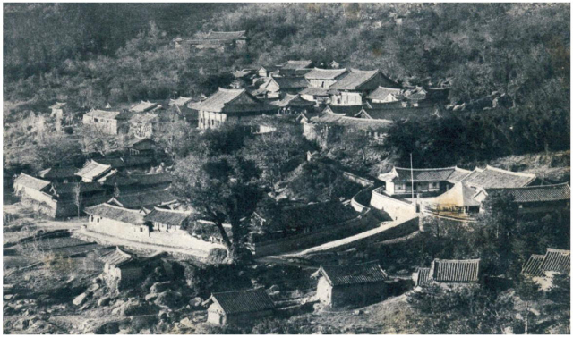 옛 범어사 전경. 가운데 나무 오른편이 명정학교다. 요산은 이 학교를 다니면서 불교를 익혔다. 김한근 부경근대사료연구소장 제공