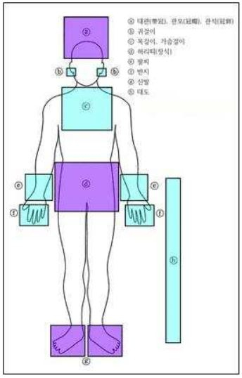 무덤 주인이 갖추고 있는 장신구의 종류와 위치. 문화재청 제공