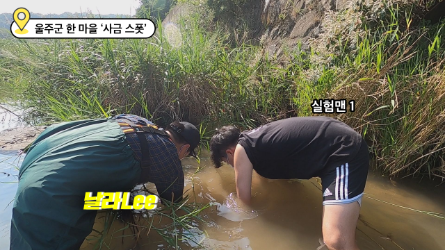 사금이 나온다는 지점의 흙을 파내는 모습.