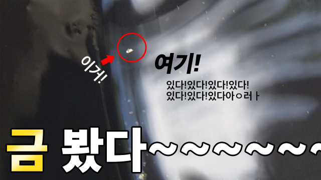 10여 분간의 패닝 끝에 포착된 금 알맹이.