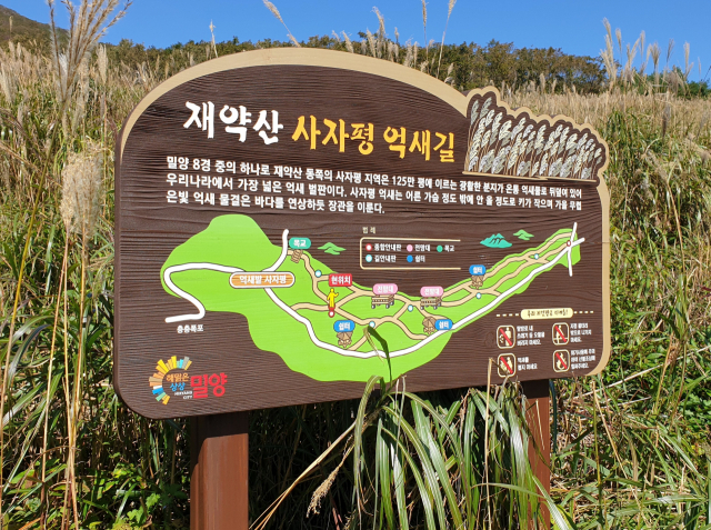 사자평 안내판.