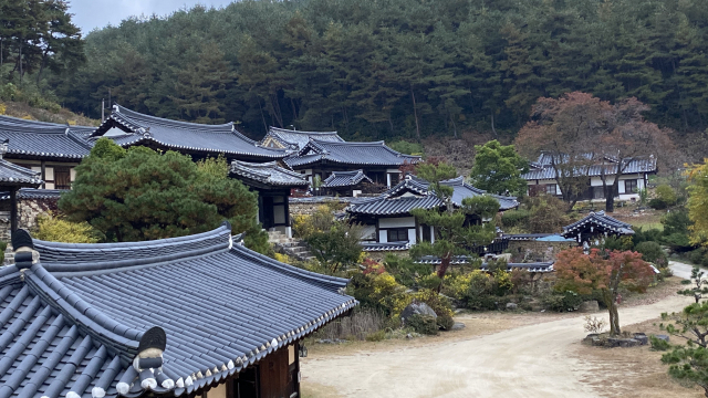 '군자마을'은 20여 채의 고택들이 옹기종기 산비탈에 자리잡은 전형적인 고택마을이다.
