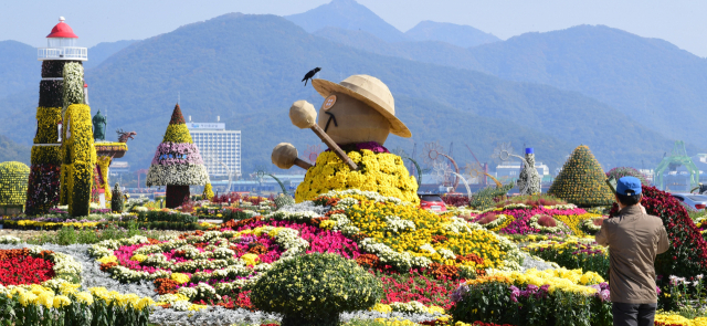 'Hallo! 마산국화 작품 전시회'개막을 하루 앞둔 29일 오후 창원시 마산합포구 해양신도시 부지에 만개한 국화들이 자태를 뽐내고 있다. 이번 전시회는 30일부터 내달 8일까지 사전에 예약된 인원과 차량만 입장이 가능하다./성승건 기자/