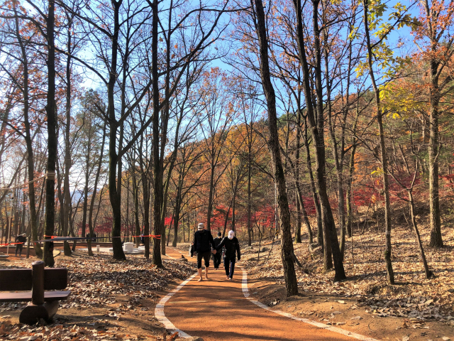 경북 구미시가 무을면 상송리에 조성한 '연악산 산림욕장'에서 시민들이 맨발로 걷고 있다. 구미시 제공