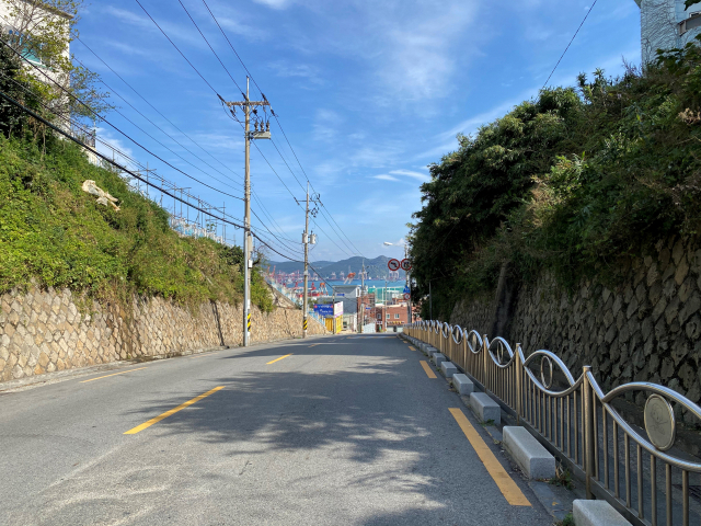 영도 청학고개 전경. 청학동·동삼동과 영선동을 잇는 봉래산 산길 청학고개는 고개고개 눈물고개, 아리랑고개였다. 지금은 고될지라도 나중을 기약하고 오늘은 고될지라도 내일을 기약하던 희망의 고개이기도 했다. 박정화 사진가 제공