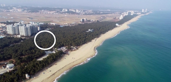강릉시는 지난해 1월 소나무 숲이 우거져 산책로로 각광받고 있는 강릉시 송정해변에 지하 1층~지상 10층 규모의 생활형 숙박시설(298실)의 건축허가 신청이 접수되자 자연생태계와 경관 보전, 국민보건휴양 증진 등의 이유로 불허처분했다. 그러나 사업자가 곧바로 행정심판을 청구, 강원도행정심판위원회가 이를 받아들이면서 허가를 내줄 수밖에 없는 처지에 놓였다. 사진 속 원으로 표시된 지역이 건설 예정지. 강릉=권태명기자 kwon80@kwnews.co.kr