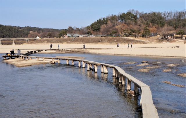 날씨가 맑고 따뜻하던 날, 경북 영주 무섬마을 외나무다리를 찾은 여행객들이 다리를 걷거나 그 위에 앉아 한가로운 시간을 보내고 있다.