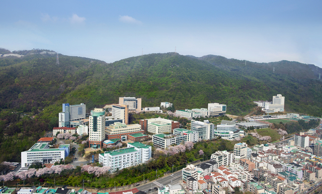 김해 인제대학교 건물 전경. 부산일보DB