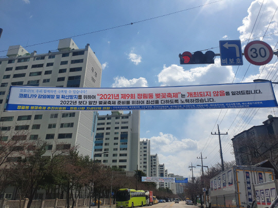 22일 오후 서구 정림동 벚꽃길 일대에 축제 취소를 알리는 현수막이 부착돼 있다.