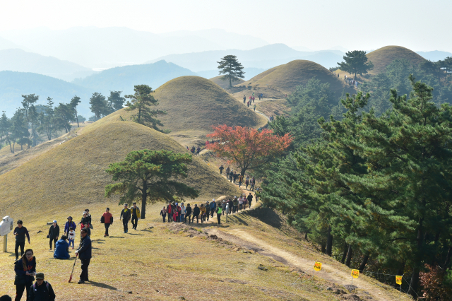 고령군이 2021년 경상북도에서 공모한 '시군별 대표관광자원 발굴·육성사업'에 선정됐다. 사진은 유네스코 세계자연유산 최종등재신청 대상에 선정된 지산동고분군. 고령군 제공.