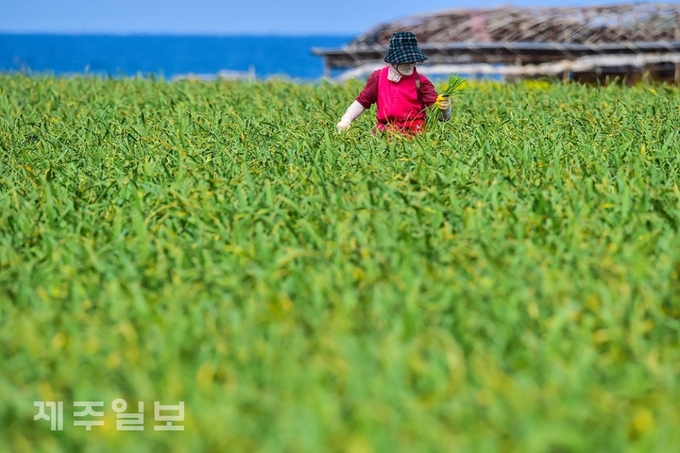 사진은 기사와 관련 없음.
