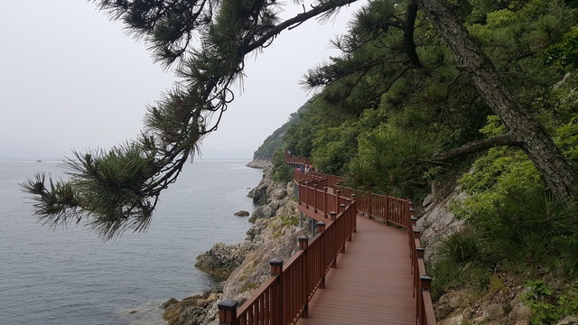 6.5km 원점회귀형 해안 둘레길로 유명한 저도 비치로드. 창원시 제공