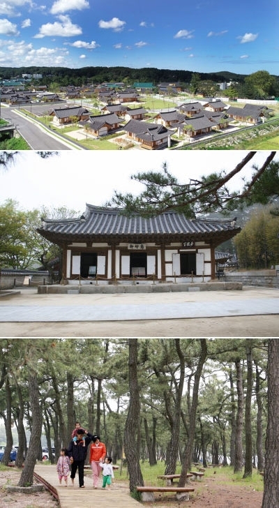 강릉관광의 또 하나의 키워드인 힐링관광. 강릉 오죽한옥마을에 뷰티마사지 체험관광이 도입돼 인기몰이 중이다, 강릉 바우길 5구간 바다호숫길은 바다와 경포호에 이르는 4㎞에 걸쳐 이어지는 해송숲길 속에서 힐링을 만끽할 수 있는 아름다운 길이다, 오죽헌 몽룡실. 강릉=권태명기자