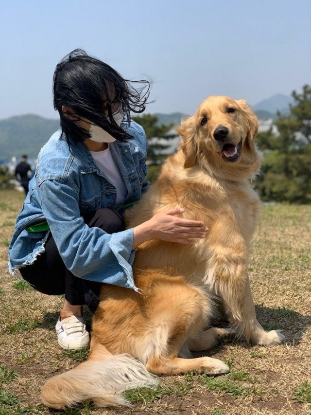 최근 대형견 물림 사고가 잇따르면서 덩치 큰 개만 봐도 공포감을 호소하는 시민들이 늘어나고 있다. 치즈와 산책을 나갈 때면 늘 마음이 조마조마 하다.