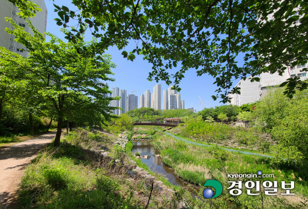 광교 호수공원과 이어지는 영덕천 둘레길이 천변을 따라 조성돼 있다. 2021.5.3 /조영상기자 donald@kyeongin.com