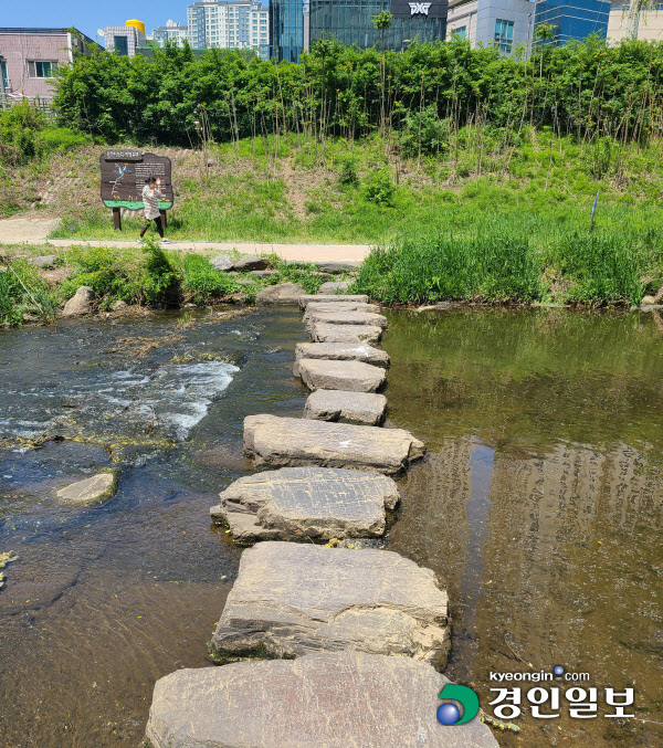원천리천 내 곳곳에 놓여있는 징검다리. 2021.5.3 /조영상기자 donald@kyeongin.com