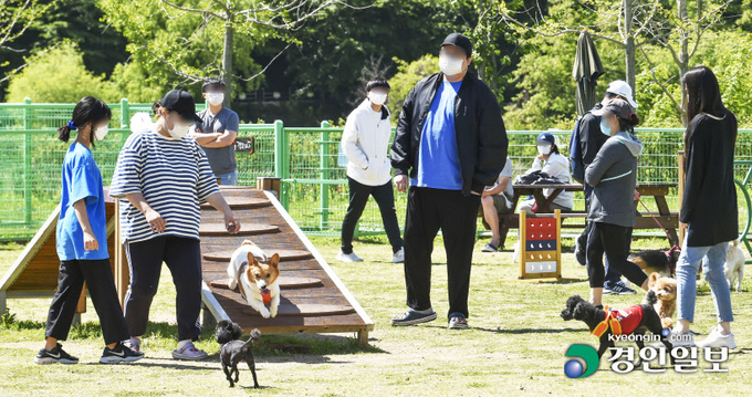 반려동물 놀이시설 설치와 관리를 세금으로 운영하는 지자체에 늘어난 반려 가구로 인해 사회적 비용이 추가된 만큼 수혜를 본 반려 가구도 일정 부분 부담하는 '반려 동물세'를 도입해야 한다는 목소리도 나오고 있다. 9일 오전 시민들이 반려동물과 함께 화성시 동탄 여울공원 반려견 놀이터를 찾아 시설을 이용하고 있다. 2021.5.9 /김도우기자 pizza@kyeongin.com