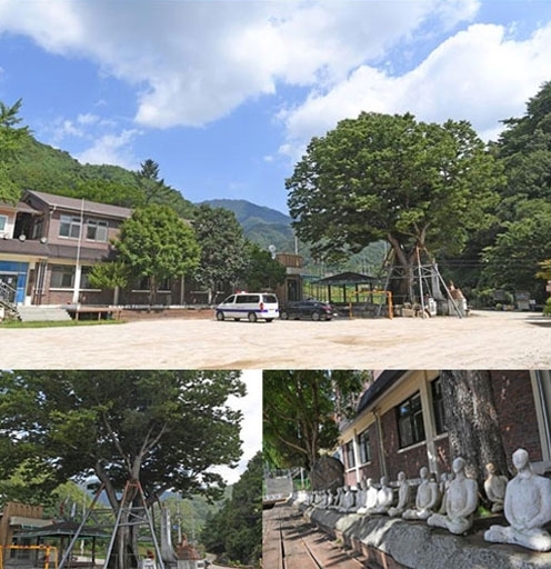 화천 동촌리 느티나무, 폐교 옆에 서 있는 동촌리 느티나무는 사람들의 꿈속을 찾아온 나무다. ◇폐교된 동촌초교 건물 앞에 예술 작품들이 줄지어 세워져 있다.