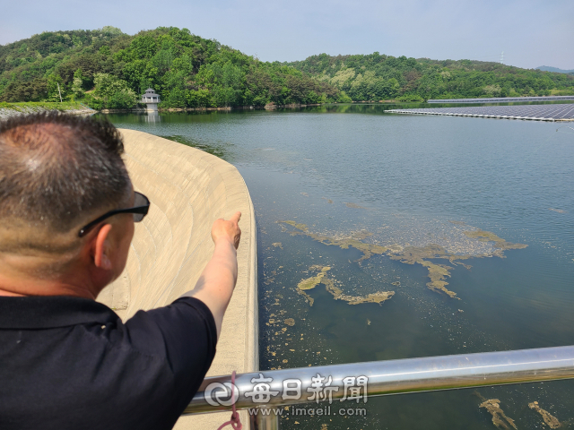 14일 안동시 풍산읍 만운저수지에서 한 낚시꾼이 태양광 설치 후 수질오염이 발생했다고 주장하며 부유물과 물이끼를 가르키며 설명하고 있다. 사진 우측에는 수면에 떠 있는 검은 태양광 패널이 늘어서 있다. 김영진 기자