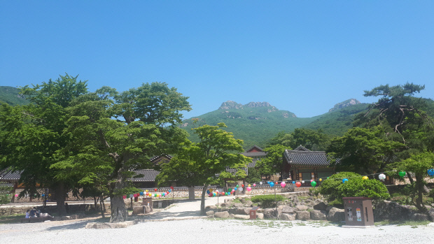 해남 대흥사는 서산대사의 충혼이 깃든 천년고찰로, 이곳에선 지난 2012년 서산대제를 재현한 이후 매년 향례가 펼쳐진다.