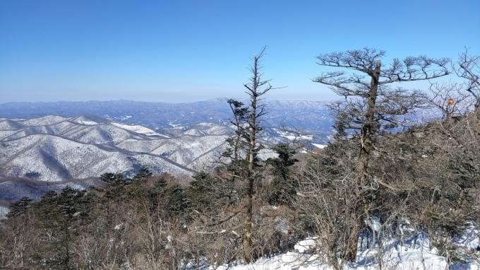 평창 발왕산 생태숲 설경. <산림청 제공>