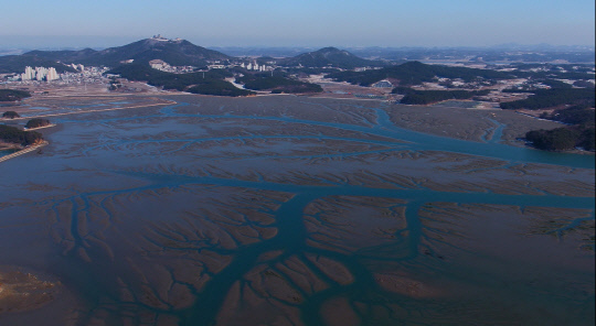 충남 서산시와 태안군에 접해 있는 가로림만은 1만 5985㏊에 162㎞ 해안선, 8000여㎞의 갯벌이 있다.사진=충남도 제공