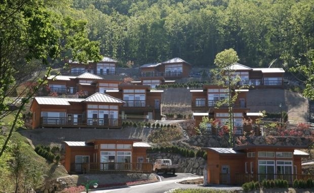 보성 제암산