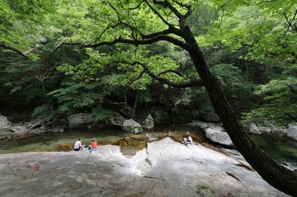 구천동 어사길)