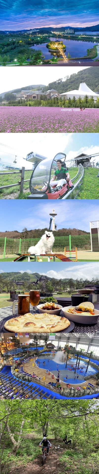 ◇알펜시아 호수 ◇서머 가든 ◇알파인코스터 ◇퍼피700 패키지 ◇비어가든 프로모션 메뉴 ◇워터파트 오션700 ◇MTB 파크(사진위쪽부터)