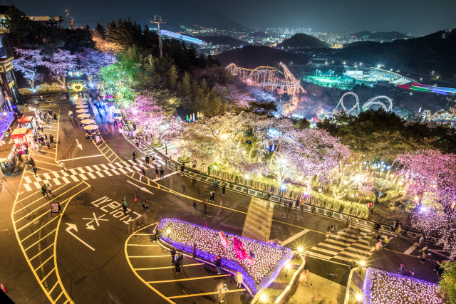 이월드는 지난 봄 벚꽃 개화기를 맞아 '별빛 벚꽃 시즌, 다시 벚꽃 피다'를 진행했다. 봄철 이월드 곳곳에 피는 벚꽃 모습. 이월드 제공