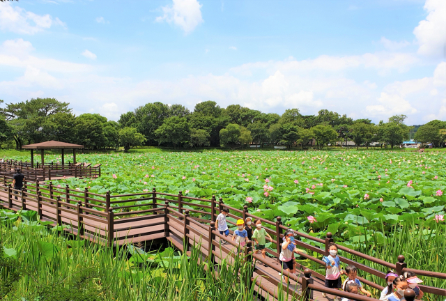 진주 강주연못.