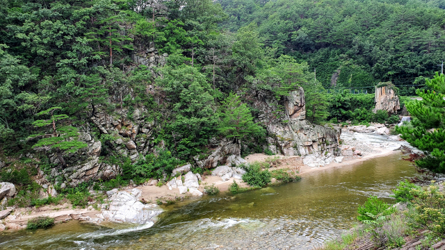 세평하늘길은 계곡과 물,나무 등이 길동무가 되어 주는 첩첩산중이다.