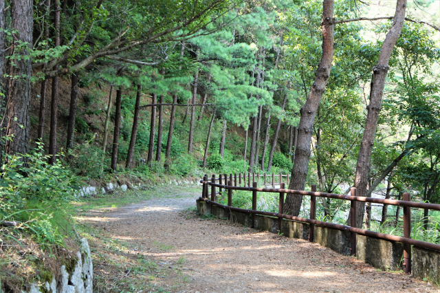 상생의 길.