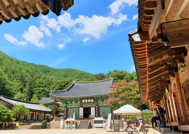 구례 천은사 전경.