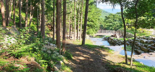 #대봉산림욕장 산책로