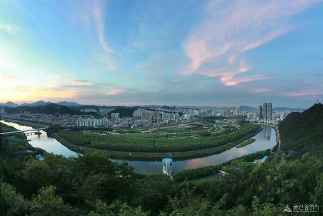 대한민국 제2호 국가정원으로 지정된 태화강 국가정원 전경./울산시/